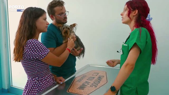 Veterinarios Todo o Terreno - episódio 1