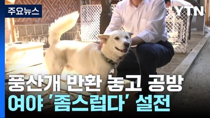 풍산개 반환 놓고 진실 공방...與野는 '좀스럽다' 설전 / YTN