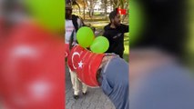 Fenomenlik uğruna eşeğe Türk bayrağı takıp gezdirdiler!