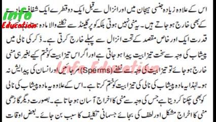 Katray Ya Drops Mani K Katron Ka Ana Mani K Katray Q Atay hai Sex Education