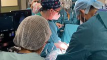 Cincuenta profesionales del hospital de Málaga coordinados para salvar la vida de un recién nacido