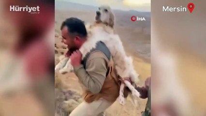 'Can dostum' dediği Raki'yi sırtında 5 kilometre taşıdı