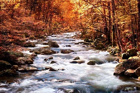 Os dons do Espírito (1 Coríntios 12.1-13) - Meditação Pr João Alves - Vila Velha-ES (08nov22)