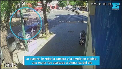 La esperó, le robó la cartera y la arrojó en el piso, una mujer fue asaltada a plena luz del día