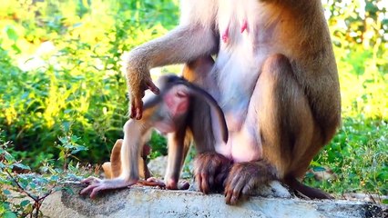 So Protective Mommy....Mother Keeps Mora In Her Eyes Forever