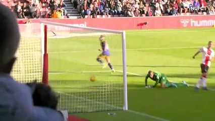 Southampton vs Newcastle United Match Highlights