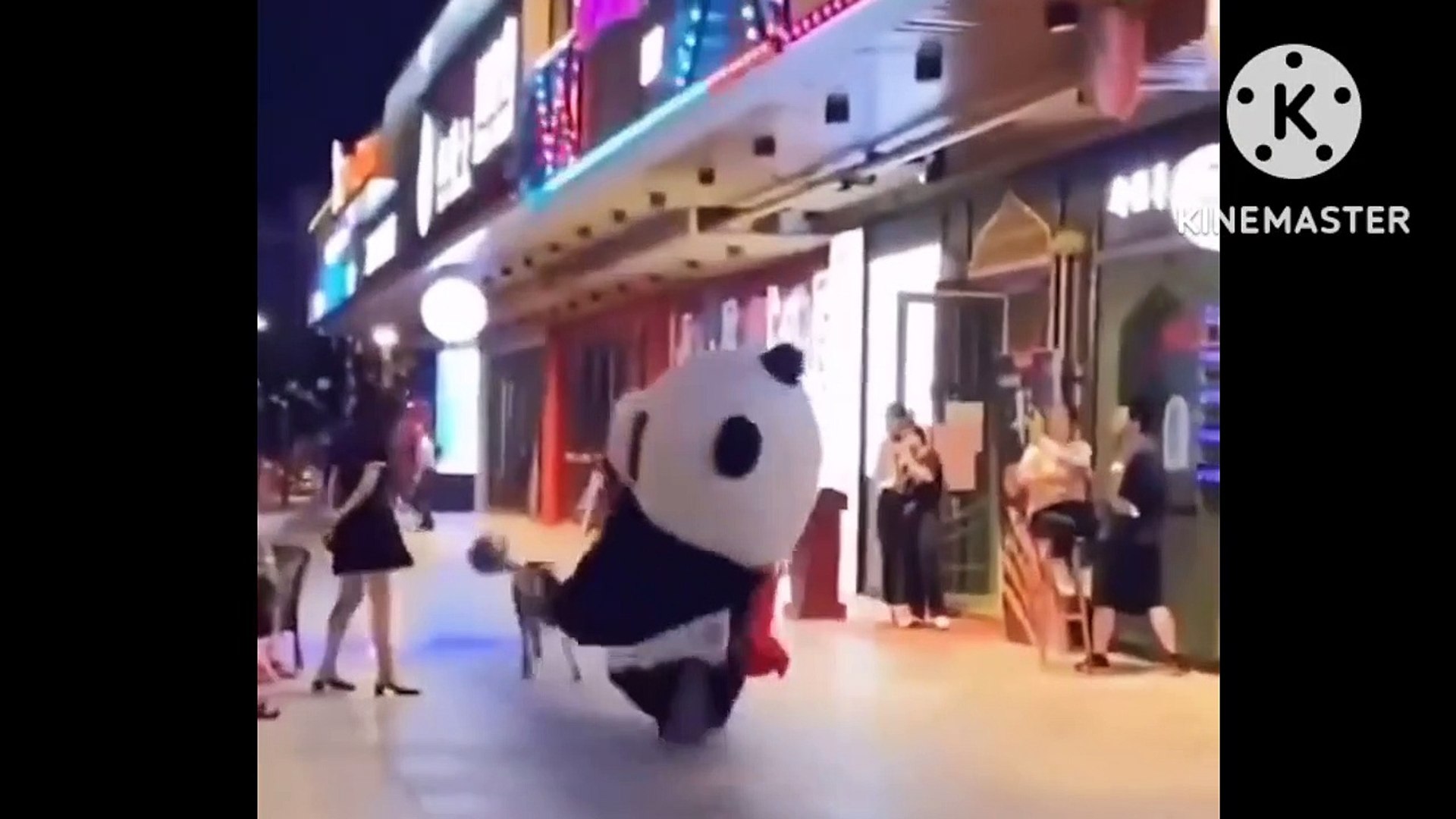 Funny videos comedy videos laughing videos