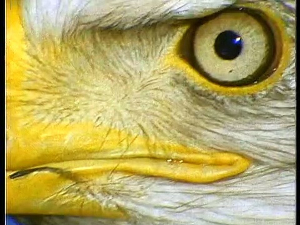 Was ist Was TV Staffel 1 Folge 3 HD Deutsch