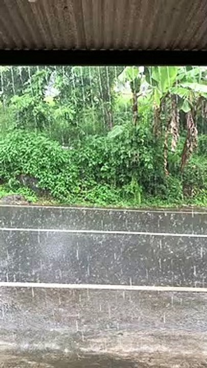 Rain #dailymotionvideo