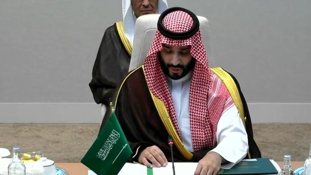 Middle East aiming to create a ‘model to combat climate change’, says Crown Prince of Saudi Arabia