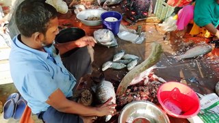 Best Fish Cutting Video | Massive Fish Cutting Area | Best Fish Cutter Man