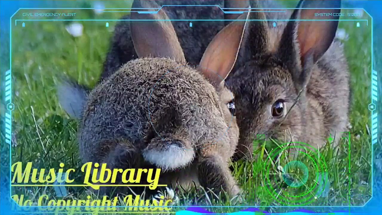 Lucid – Nomyn (No Copyright Music)