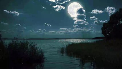 Asleep in under 3 minutes |  Instant relief  from insomnia, depre H_D Mumet