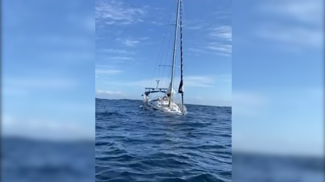 Bateau coulé par des orques : «C'est un jeu qui s'est transmis entre groupes d'animaux»