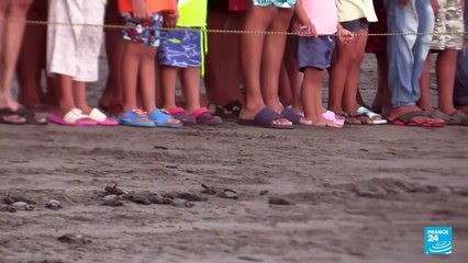 El estado mexicano de Chiapas renueva su compromiso con la protección de las tortugas marinas