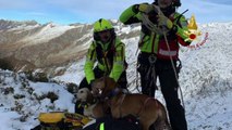 Salvati due cani in difficoltà in alta quota nel bresciano