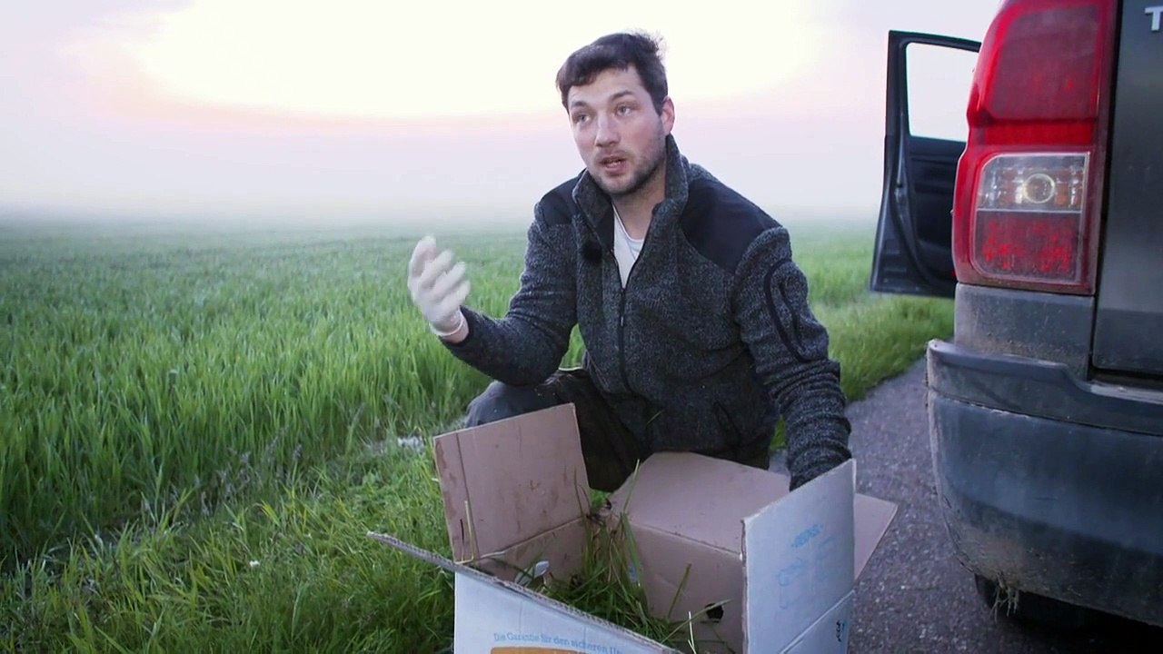 Jägerleben staffel 1 folge 2 hd deutsch