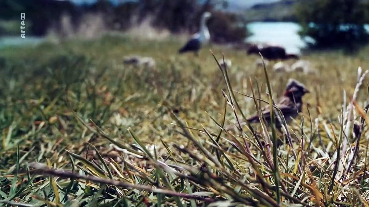 Magische Anden Staffel 1 Folge 5 HD Deutsch