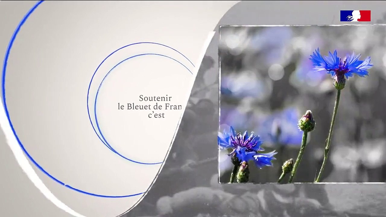 Ministère des Armées  - Depuis 1916, le  Bleuet France  accompagne et soutient les combattants et les victimes des conflits grâce aux fonds collectés.