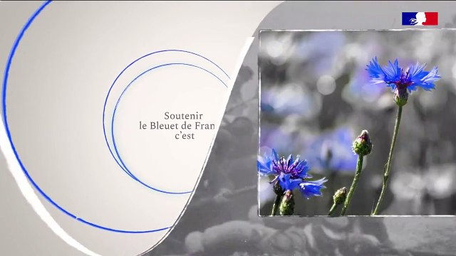 Ministère des Armées - Depuis 1916, le Bleuet France accompagne et soutient les combattants et les victimes des conflits grâce aux fonds collectés.