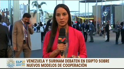 Venezuela y Surinam revisan agenda de cooperación bilateral en Egipto