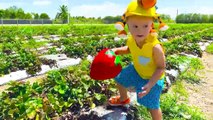 Kindergeschichten über eine Sonnenblumen- und Erdbeerfarm mit Mama und Chris - Vlad and Nikita New Episodes 2023 videos for kids - Vlad and Niki YouTube new series 2022