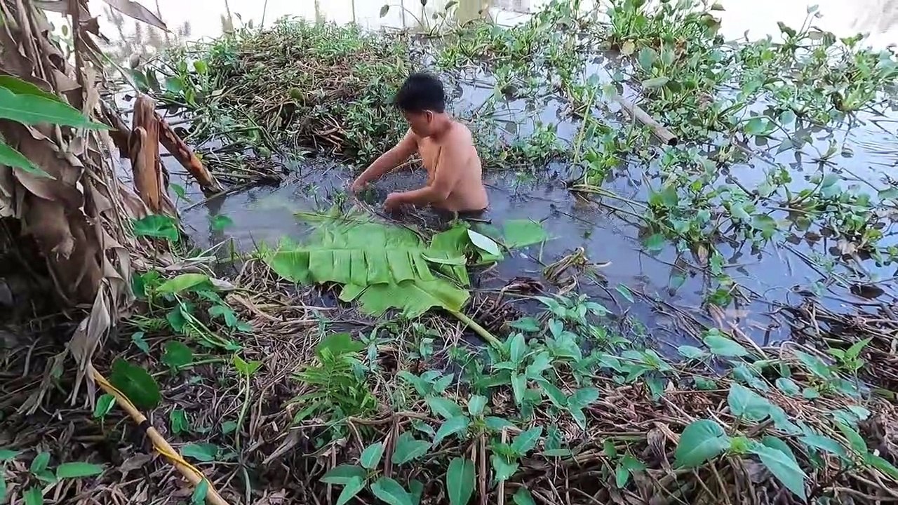 Catching carp nests at the edge of the river nearly 100 kg   Hunting Giant Fish