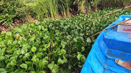 Kích Cá Trên Sông Lớn Bằng Máy Kích Cá 8 Fet Thú Vui 3 Miền