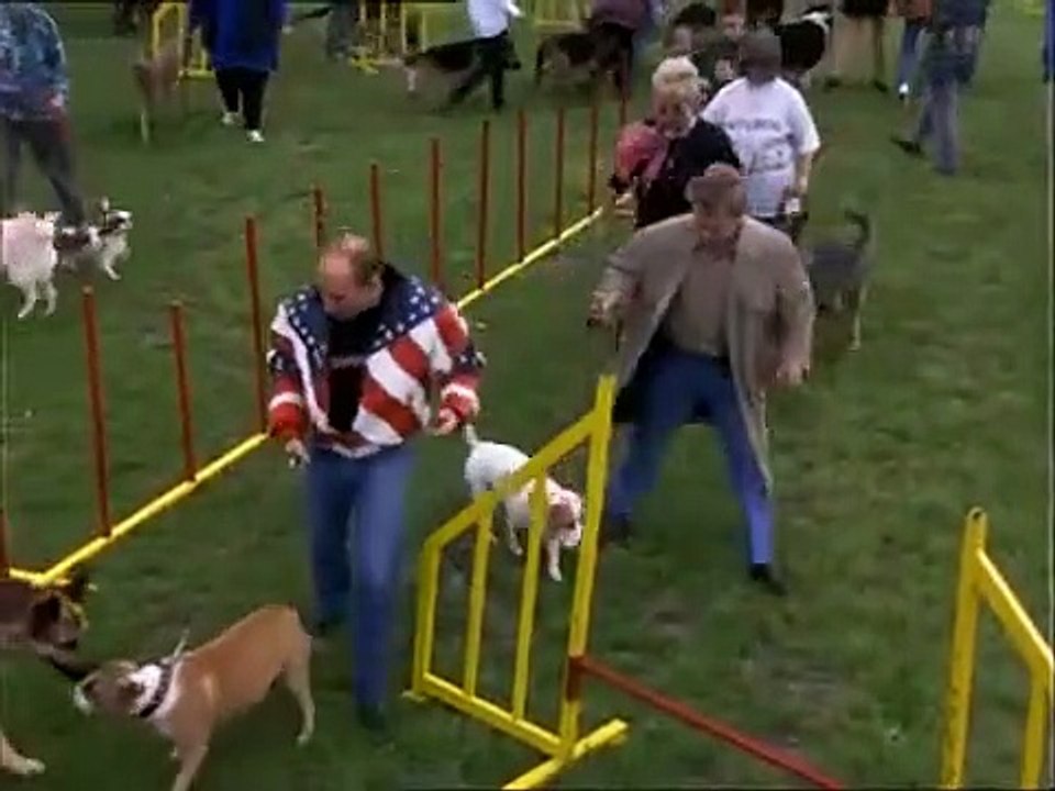 Kaisermühlen Blues Staffel 5 Folge 11 HD Deutsch