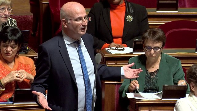 « Monsieur le ministre, vous bénéficiez d’une clémence particulière du Sénat »