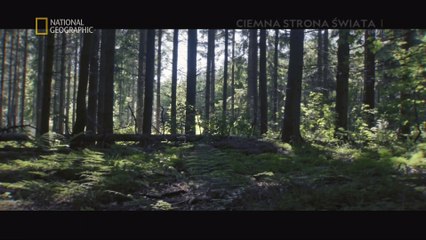 Czas wikingów odc.5