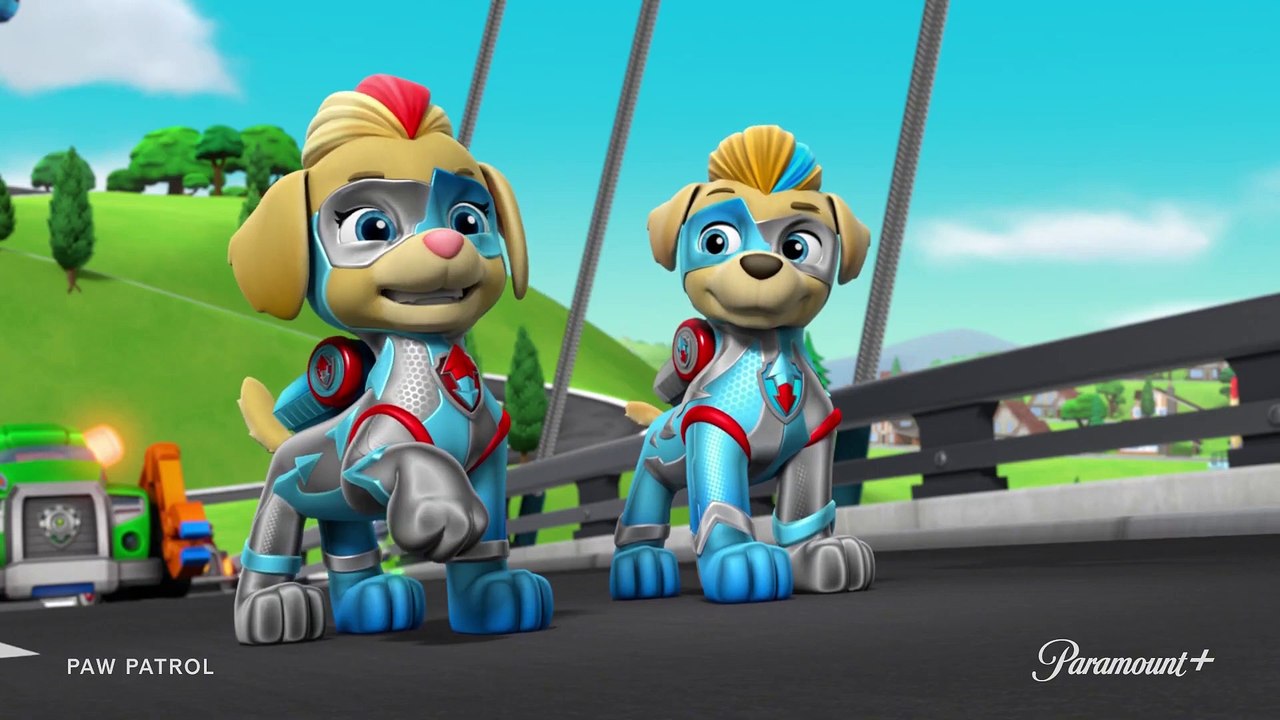 paw-patrol-introducing-the-mighty-twins-video-dailymotion