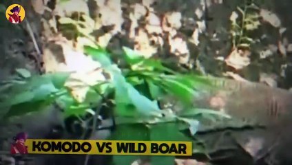 20 Disturbing Moments When Animals Rip Apart Their Prey And Eat It