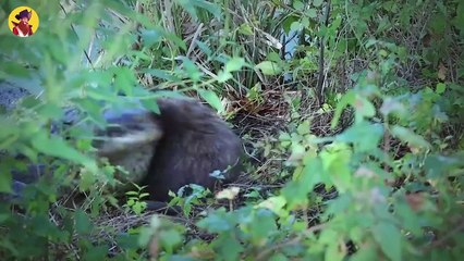 45 “Kitty Kitty” Moments That Will Make You Cringe!