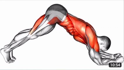 10 types of plank position _ workout at home _ workout from home