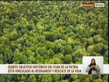 Venezuela tiene políticas ecosocialistas para el resguardo del planeta y la especie humana