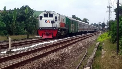 like this the train intersects at the ngunut station