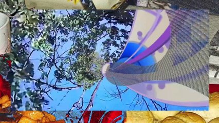 Walking around apartment l cleaning cat box l at Taco Bell l 360 degrees.compressed