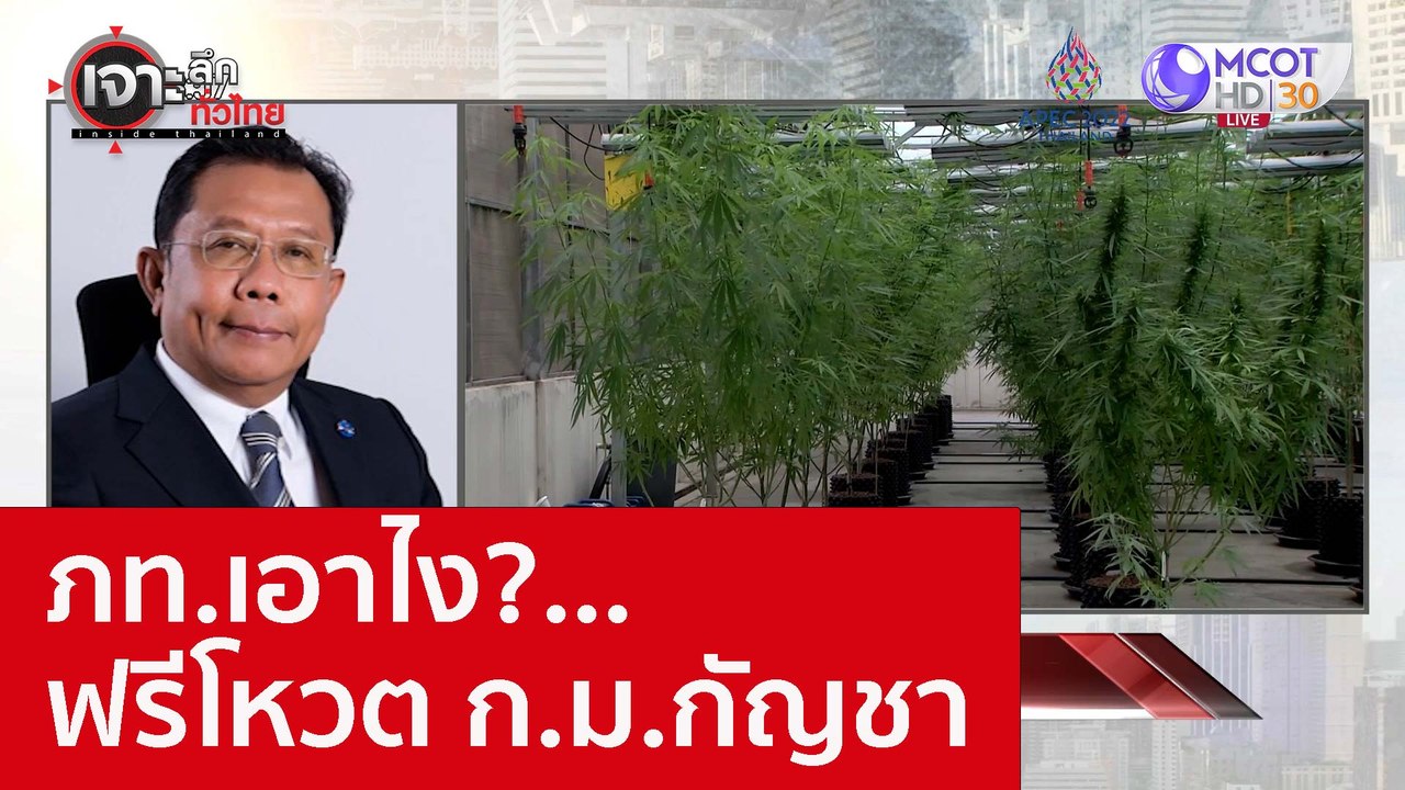 ภท.เอาไง?...ฟรีโหวต ก.ม.กัญชา : เจาะลึกทั่วไทย...
