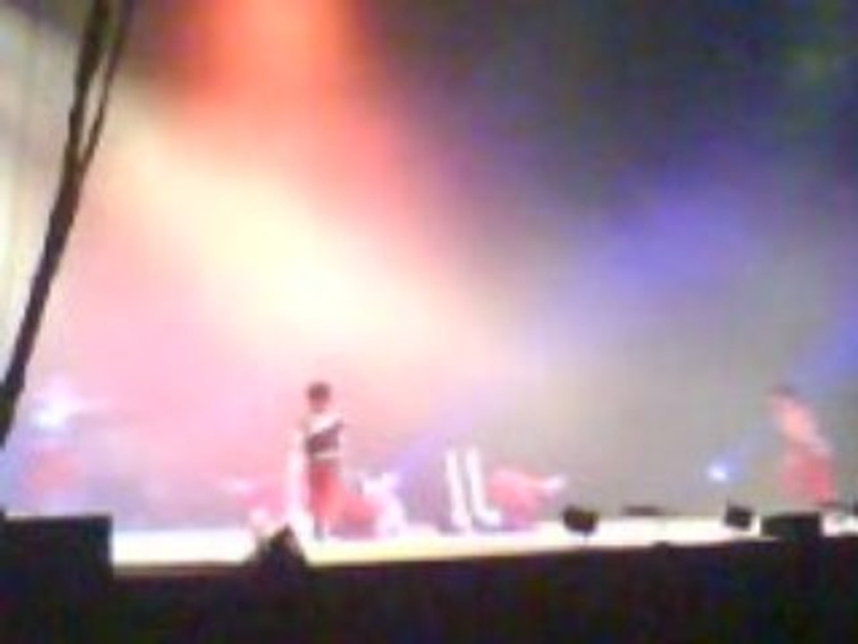 le cirque de pékin