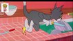 Tom & Jerry - Tom & Jerry funny - Tom and Jerry cartoon - cartoon - funny - comedy