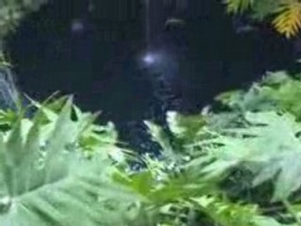 Cenote Chichen Itza