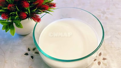 Homemade Coconut Milk No Sugar | No Dairy | Vegan Recipe By CWMAP