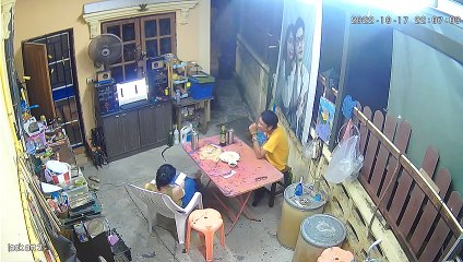 Un homme attrape un serpent à l'aide d'un balai et d'une pelle à poussière - Buzz Buddy