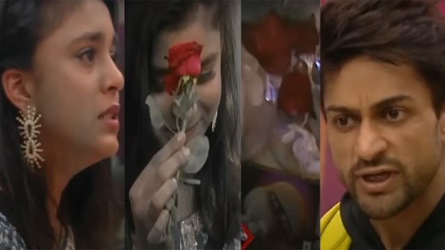 Bigg Boss 16 ; Tina Datta की वजह से Sumbul ने तोड़ दी Shalin से दोस्ती; Check out |*TV
