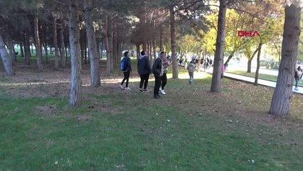 KÖPEKTEN KORKUP AĞACA ÇIKAN KEDİSİNİ BEKLEDİ