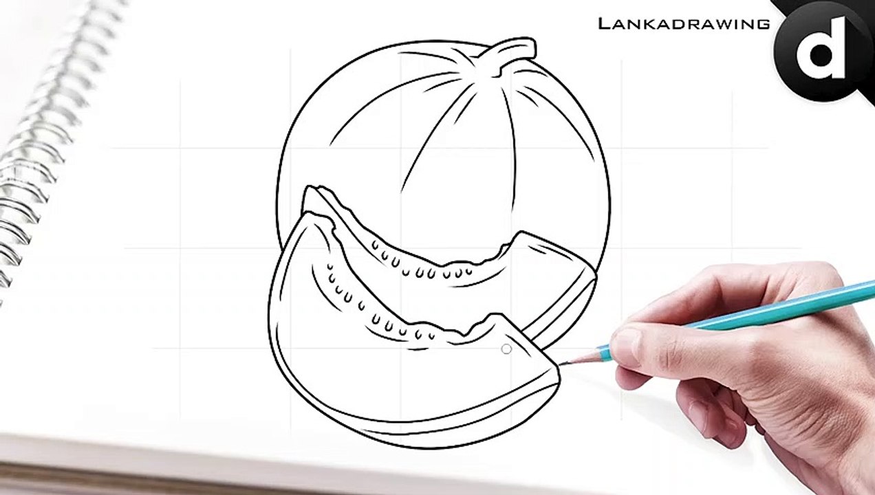 simple and easy melon drawing tutorial