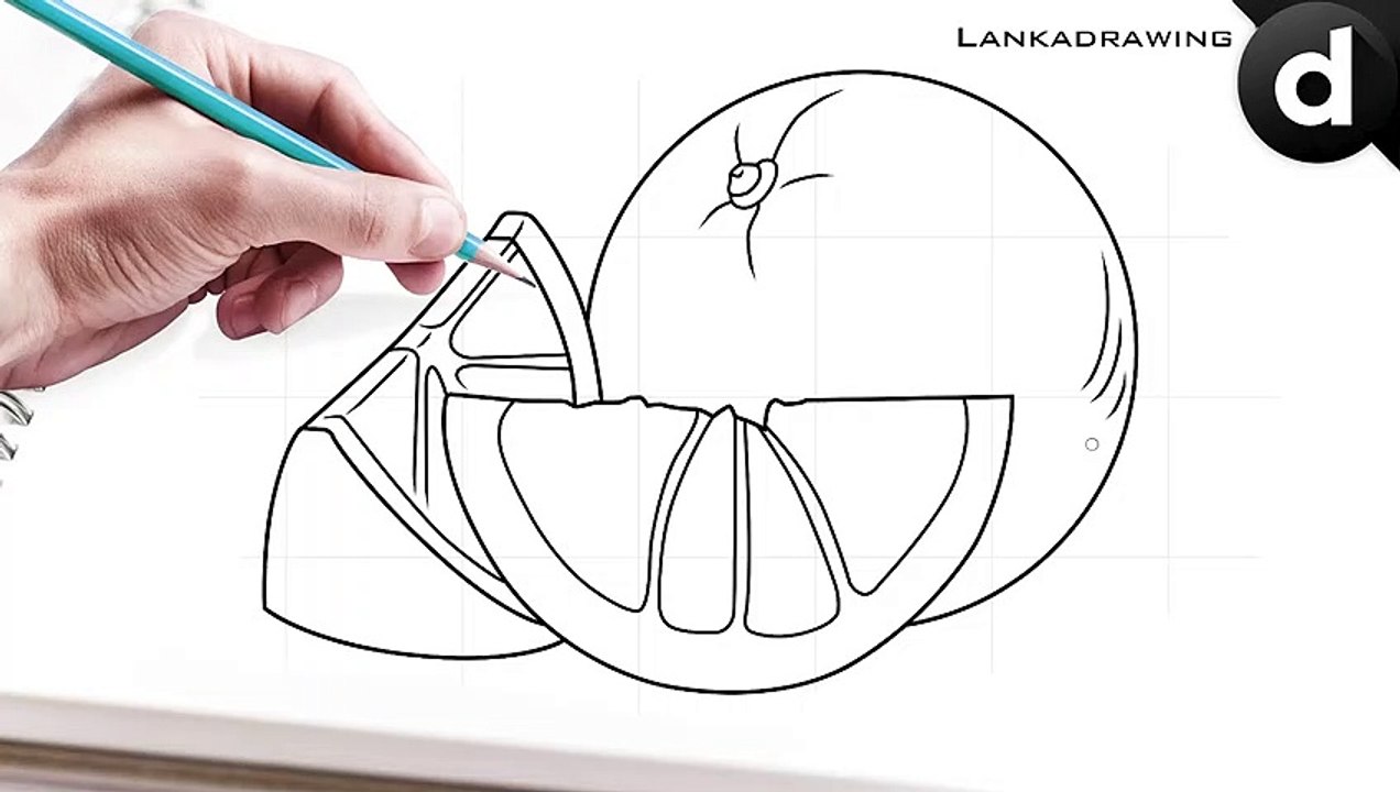 how to draw a large grapefruit easy and simple video Dailymotion