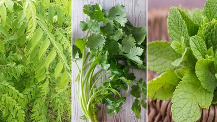 ఈ మూడింటినీ రోజూ ఆహారంలో భాగం చేసుకోండి, అనారోగ్యాలకు చెక్ పెట్టండి *Health | Telugu OneIndia