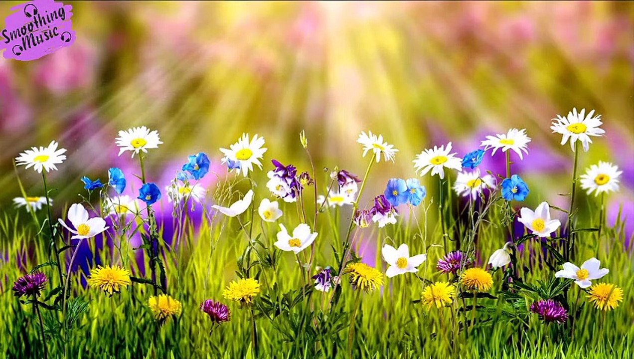Relaxing Music Healing Stress, Anxiety and Depressive States Heal Mind, Body and Soul | Sleep music....